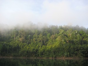 IMG_1152