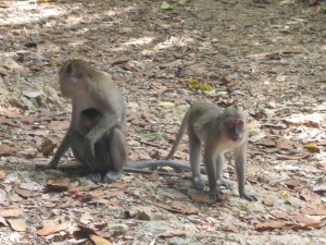 IMG_1255